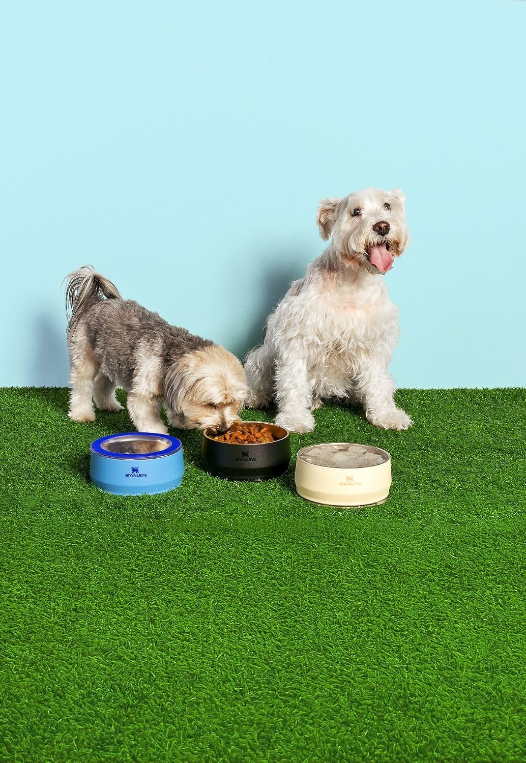 image:imageSTANLEY Pet Bowl 3Cup 24 oz Insulated Stainless Steel Dog amp Cat Bowl SplashResistant Lid Dishwasher Safe BPAFree Black 20Black 20