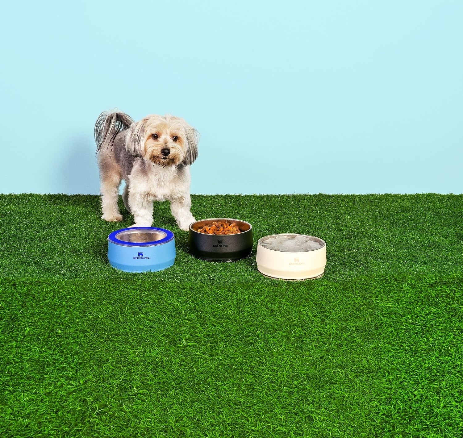 image:imageSTANLEY Pet Bowl 3Cup 24 oz Insulated Stainless Steel Dog amp Cat Bowl SplashResistant Lid Dishwasher Safe BPAFree Black 20Black 20