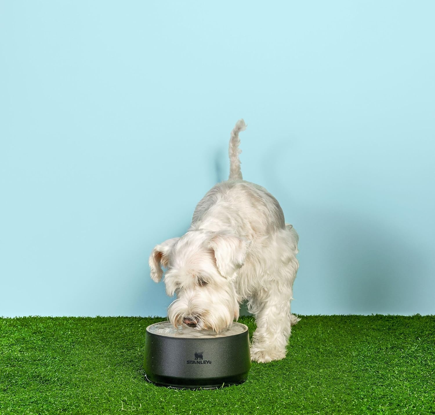 image:imageSTANLEY Pet Bowl 3Cup 24 oz Insulated Stainless Steel Dog amp Cat Bowl SplashResistant Lid Dishwasher Safe BPAFree Black 20Black 20