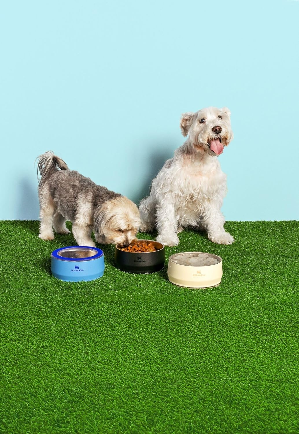 image:imageSTANLEY Pet Bowl 3Cup 24 oz Insulated Stainless Steel Dog amp Cat Bowl SplashResistant Lid Dishwasher Safe BPAFree Black 20Cream