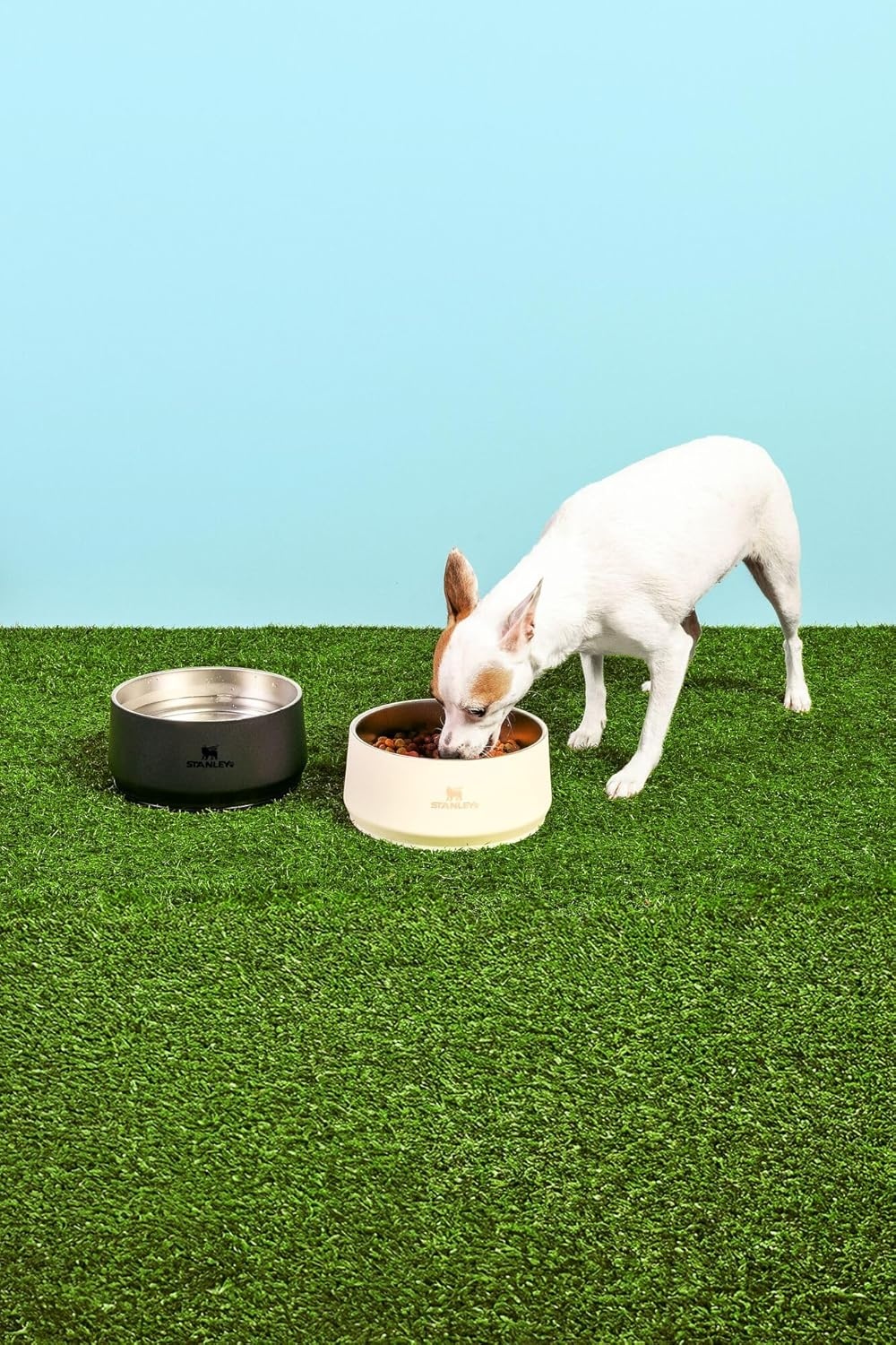 image:imageSTANLEY Pet Bowl 3Cup 24 oz Insulated Stainless Steel Dog amp Cat Bowl SplashResistant Lid Dishwasher Safe BPAFree Black 20Cream