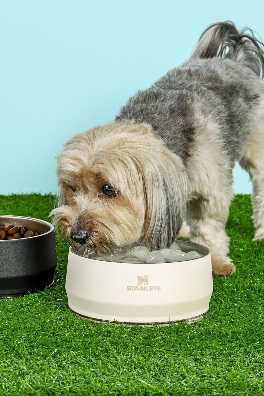 image:imageSTANLEY Pet Bowl 3Cup 24 oz Insulated Stainless Steel Dog amp Cat Bowl SplashResistant Lid Dishwasher Safe BPAFree Black 20Rose Quartz