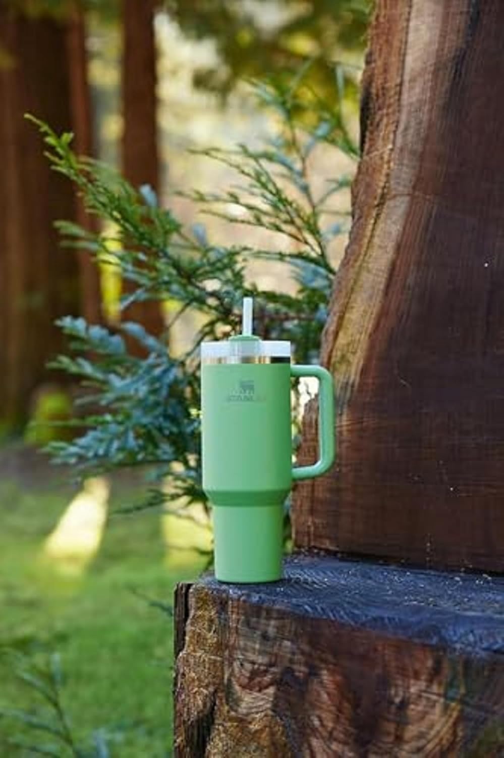 image:imageSTANLEY Quencher H20 Flow State Tumbler 30 oz Chili Red Handle and Straw 3Position Lid Cup Holder Compatible for Travel Insulated Stainless Steel Cup BPAFreeJade
