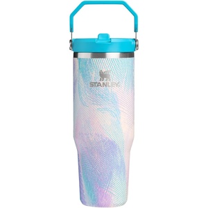 STANLEY IceFlow 2.0 Flip Straw Tumbler, 30 oz, Chili Red | Easy Carry Handle | Twist On Lid and Flip Up Straw | Leak Resistant Water Bottle | Insulated Stainless Steel | BPA-Free(Sea Glass Plume)