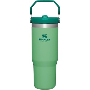 STANLEY IceFlow 2.0 Flip Straw Tumbler, 30 oz, Chili Red | Easy Carry Handle | Twist On Lid and Flip Up Straw | Leak Resistant Water Bottle | Insulated Stainless Steel | BPA-Free(Jade)