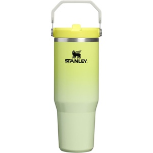STANLEY IceFlow 2.0 Flip Straw Tumbler, 30 oz, Chili Red | Easy Carry Handle | Twist On Lid and Flip Up Straw | Leak Resistant Water Bottle | Insulated Stainless Steel | BPA-Free(Atomic Gradient)