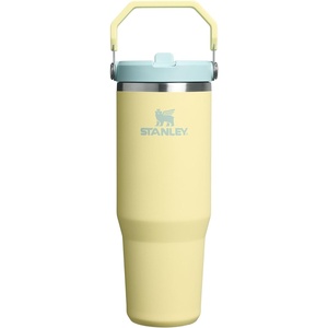 STANLEY IceFlow 2.0 Flip Straw Tumbler, 30 oz, Chili Red | Easy Carry Handle | Twist On Lid and Flip Up Straw | Leak Resistant Water Bottle | Insulated Stainless Steel | BPA-Free(Pomelo)