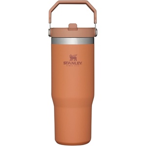 STANLEY IceFlow 2.0 Flip Straw Tumbler, 30 oz, Chili Red | Easy Carry Handle | Twist On Lid and Flip Up Straw | Leak Resistant Water Bottle | Insulated Stainless Steel | BPA-Free(Ochre)