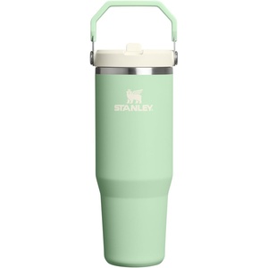 STANLEY IceFlow 2.0 Flip Straw Tumbler, 30 oz, Chili Red | Easy Carry Handle | Twist On Lid and Flip Up Straw | Leak Resistant Water Bottle | Insulated Stainless Steel | BPA-Free(Pistachio)