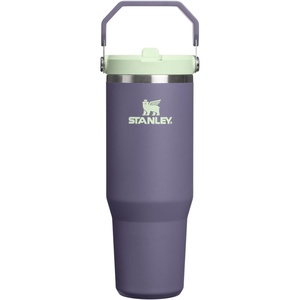 STANLEY IceFlow 2.0 Flip Straw Tumbler, 30 oz, Chili Red | Easy Carry Handle | Twist On Lid and Flip Up Straw | Leak Resistant Water Bottle | Insulated Stainless Steel | BPA-Free(Purple Umbra)