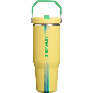 STANLEY IceFlow 2.0 Flip Straw Tumbler, 30 oz, Chili Red | Easy Carry Handle | Twist On Lid and Flip Up Straw | Leak Resistant Water Bottle | Insulated Stainless Steel | BPA-Free(Team Yellow Green)