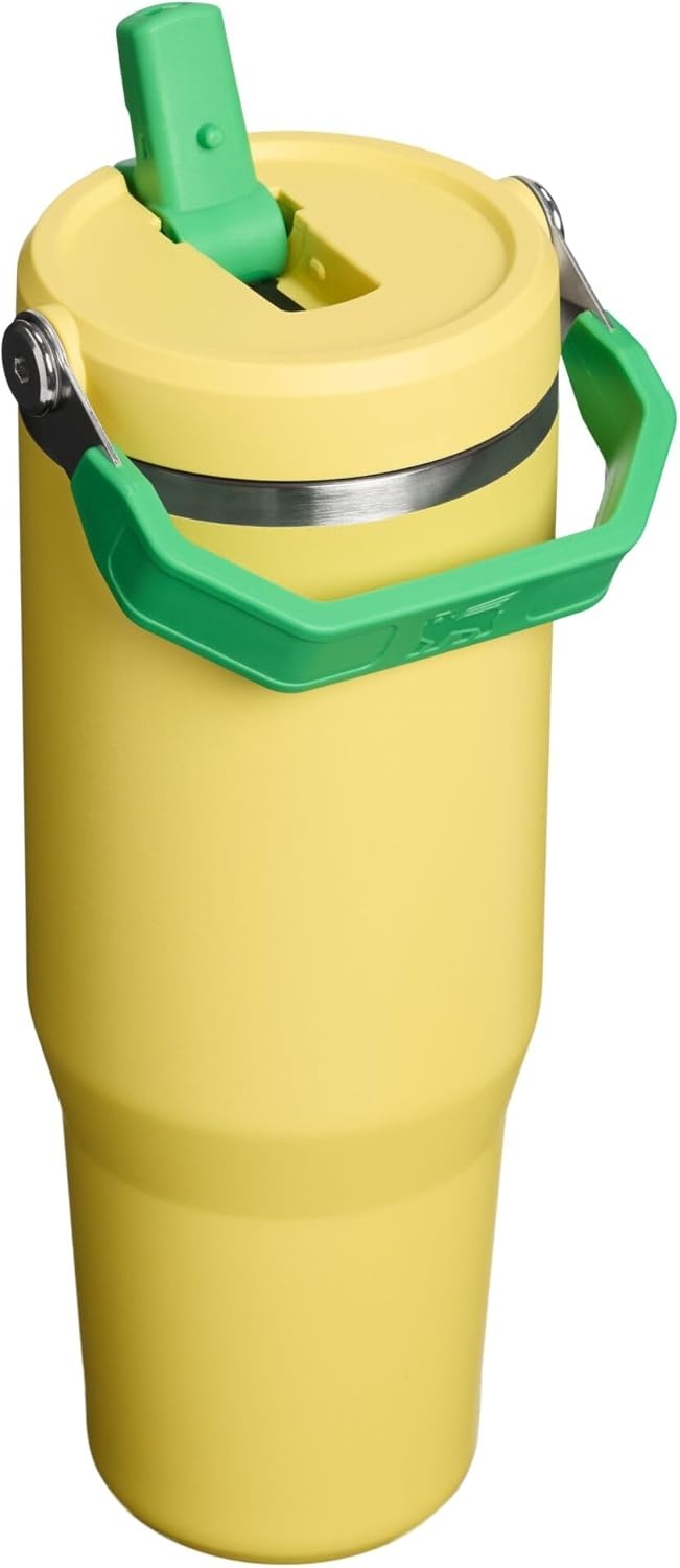 image:imageSTANLEY IceFlow 20 Flip Straw Tumbler 20 oz Pomelo Easy Carry Handle Twist On Lid and Flip Up Straw Leak Resistant Water Bottle Insulated Stainless Steel BPAFreeTeam Yellow Green