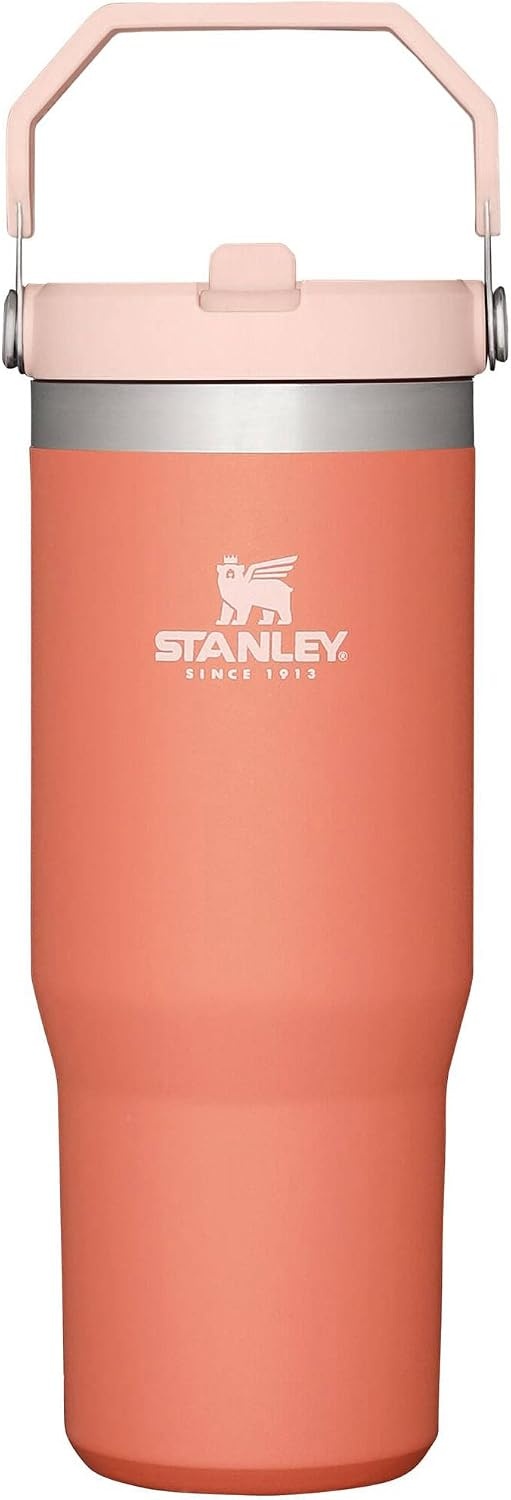 image:imageSTANLEY IceFlow 20 Flip Straw Tumbler 20 oz Pomelo Easy Carry Handle Twist On Lid and Flip Up Straw Leak Resistant Water Bottle Insulated Stainless Steel BPAFreeGrapefruit