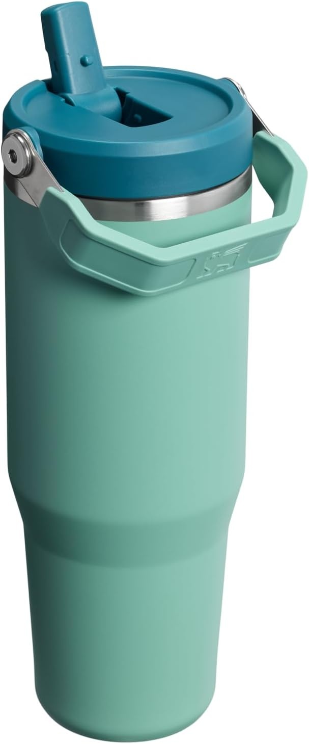 image:imageSTANLEY IceFlow 20 Flip Straw Tumbler 20 oz Pomelo Easy Carry Handle Twist On Lid and Flip Up Straw Leak Resistant Water Bottle Insulated Stainless Steel BPAFreeSpring Green