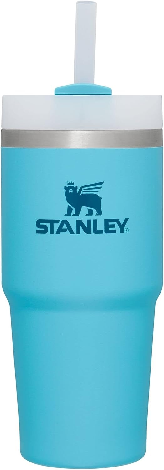 image:imageSTANLEY Quencher H20 Flow State Tumbler 20 oz Lilac Straw and 3Position Lid Cup Holder Compatible for Travel Insulated Stainless Steel Cup BPAFreePool