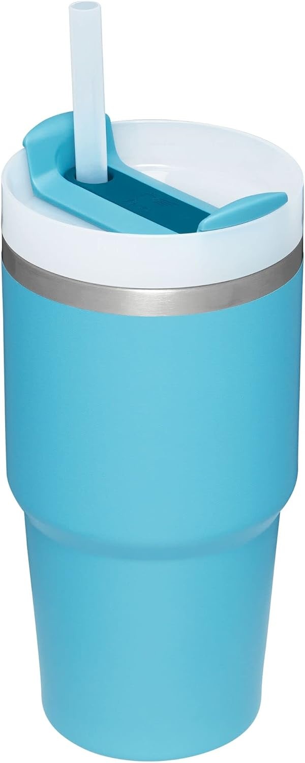 image:imageSTANLEY Quencher H20 Flow State Tumbler 20 oz Lilac Straw and 3Position Lid Cup Holder Compatible for Travel Insulated Stainless Steel Cup BPAFreePool