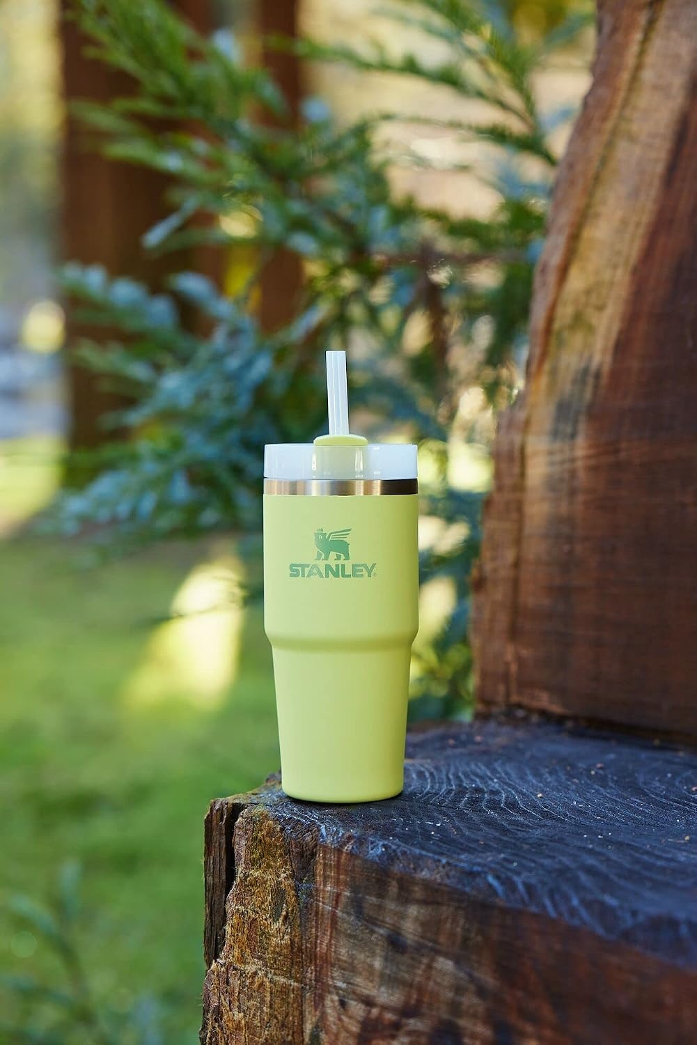 image:imageSTANLEY Quencher H20 Flow State Tumbler 20 oz Lilac Straw and 3Position Lid Cup Holder Compatible for Travel Insulated Stainless Steel Cup BPAFreeCitron