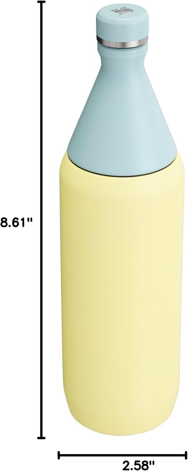 image:imageStanley All Day Slim Bottle 20 oz Twist On Lid with Leakproof Seal Slim Design for Travel amp Gym Insulated Stainless Steel BPAFree Daffodil GlossPomelo