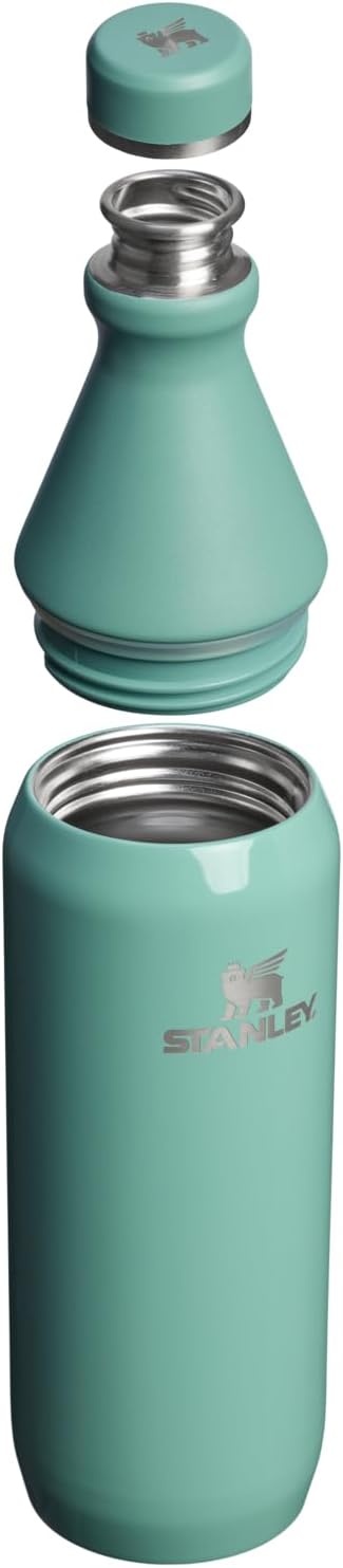 image:imageStanley All Day Slim Bottle 20 oz Twist On Lid with Leakproof Seal Slim Design for Travel amp Gym Insulated Stainless Steel BPAFree Daffodil GlossSpring Green Gloss