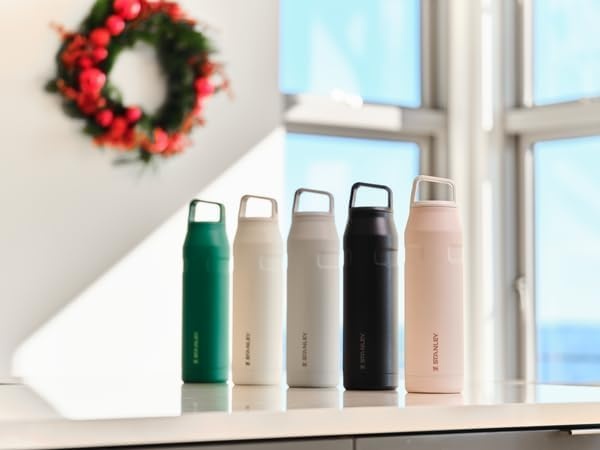image:imageStanley IceFlow Cap and Carry Water Bottle Wide Mouth Twist Lid Lightweight amp Leakproof for Travel amp Sports Insulated Stainless Steel BPAFreeTigerlily Plum