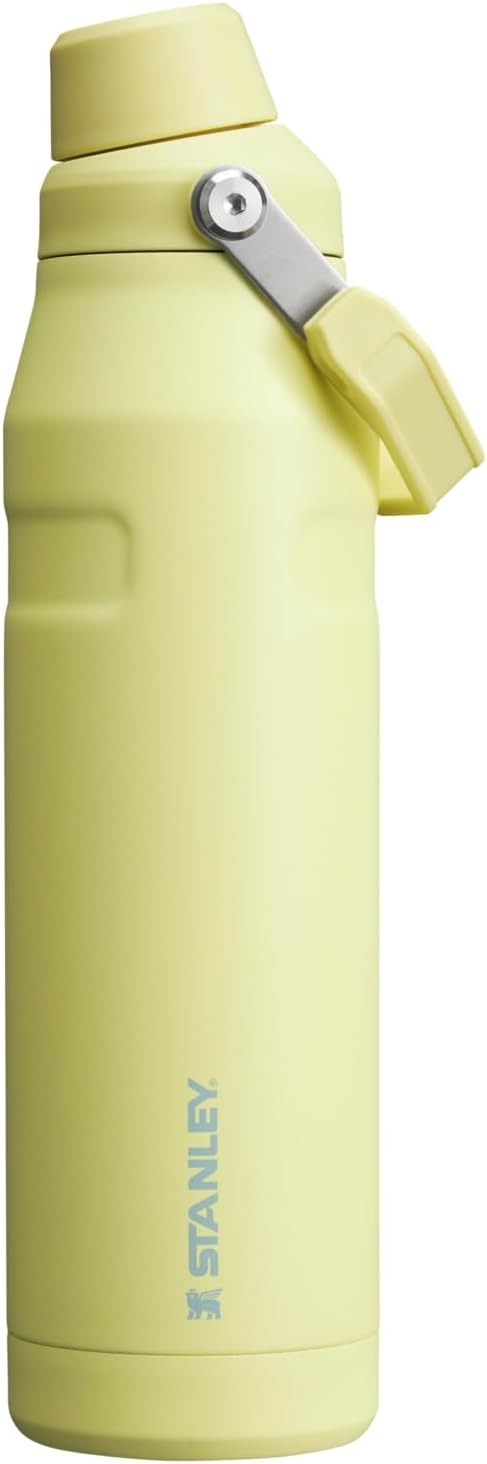 image:imageStanley IceFlow Fast Flow Water Bottle 24 oz Angled Spout Lid Lightweight and Leakproof for Travel and Sports Insulated Stainless Steel BPAFree TigerlilyPomelo