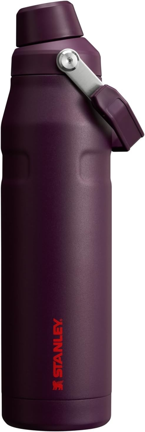 image:imageStanley IceFlow Fast Flow Water Bottle 24 oz Angled Spout Lid Lightweight and Leakproof for Travel and Sports Insulated Stainless Steel BPAFree TigerlilyPlum