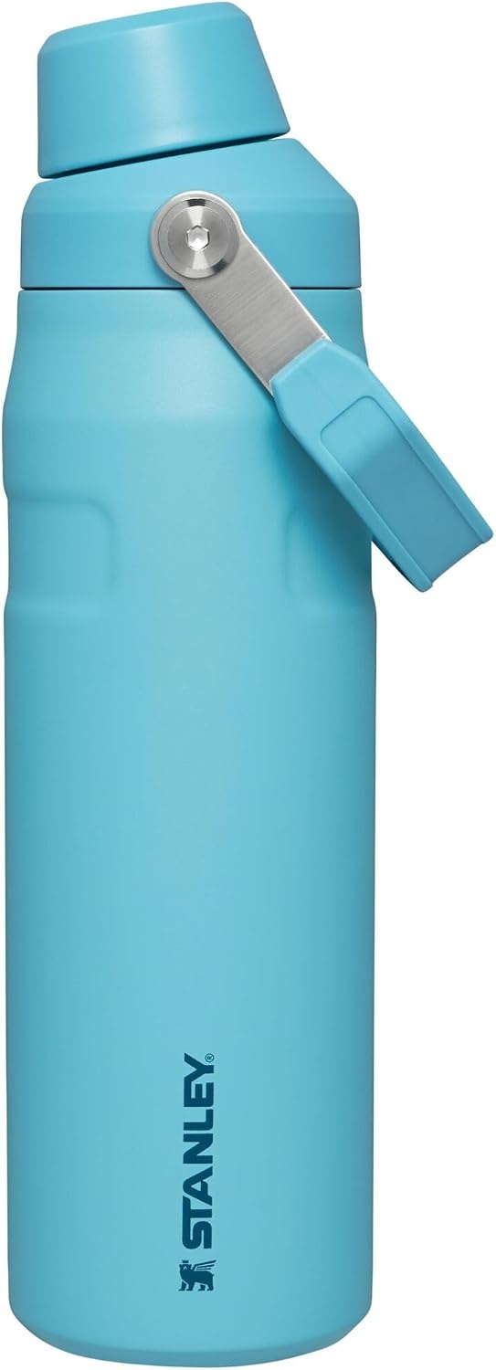 image:imageStanley IceFlow Fast Flow Water Bottle 24 oz Angled Spout Lid Lightweight and Leakproof for Travel and Sports Insulated Stainless Steel BPAFree TigerlilyPool