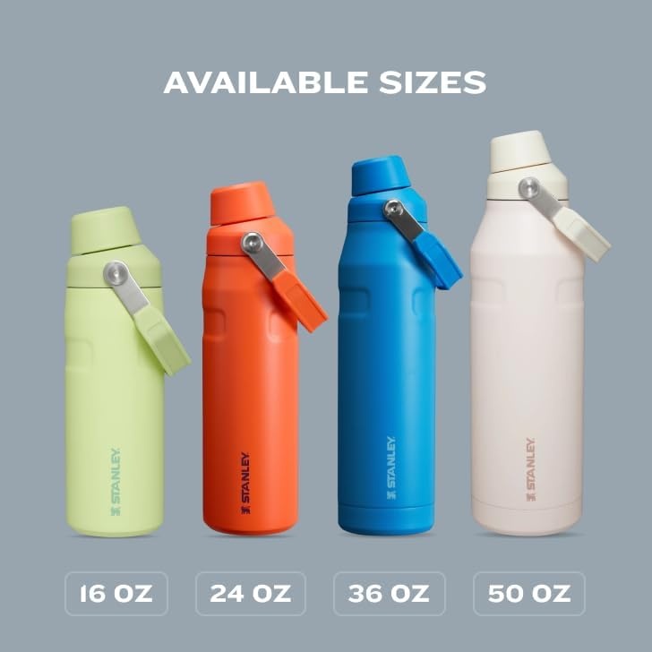 image:imageStanley IceFlow Fast Flow Water Bottle 24 oz Angled Spout Lid Lightweight and Leakproof for Travel and Sports Insulated Stainless Steel BPAFree TigerlilyPool