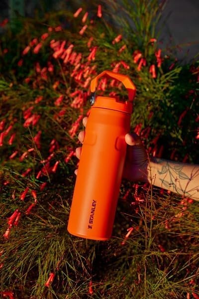 image:imageStanley IceFlow Flip Straw 20 Water Bottle 36 OZ BuiltIn Straw with Larger Opening Lightweight amp LeakResistant Insulated Stainless Steel BPAFree Tigerlily PlumStrawberry Cream