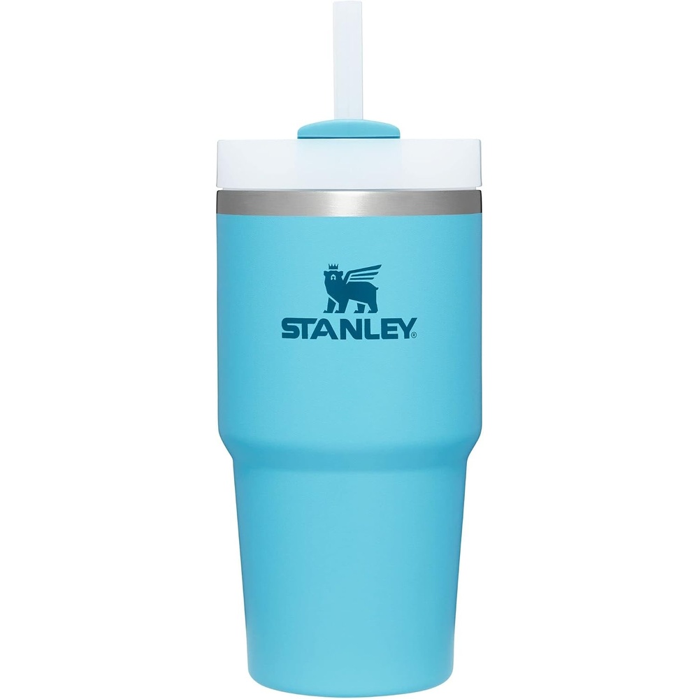 image:imageSTANLEY Quencher H20 Flow State Tumbler 20 oz Lilac Straw and 3Position Lid Cup Holder Compatible for Travel Insulated Stainless Steel Cup BPAFreePool