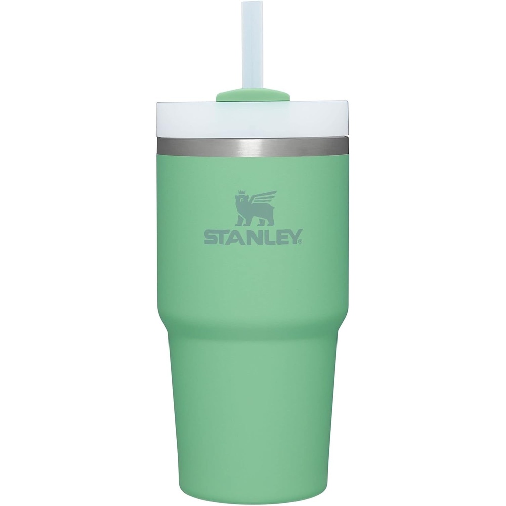 image:imageSTANLEY Quencher H20 Flow State Tumbler 20 oz Lilac Straw and 3Position Lid Cup Holder Compatible for Travel Insulated Stainless Steel Cup BPAFreeJade