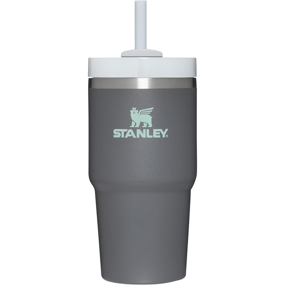 image:imageSTANLEY Quencher H20 Flow State Tumbler 20 oz Lilac Straw and 3Position Lid Cup Holder Compatible for Travel Insulated Stainless Steel Cup BPAFreeCharcoal