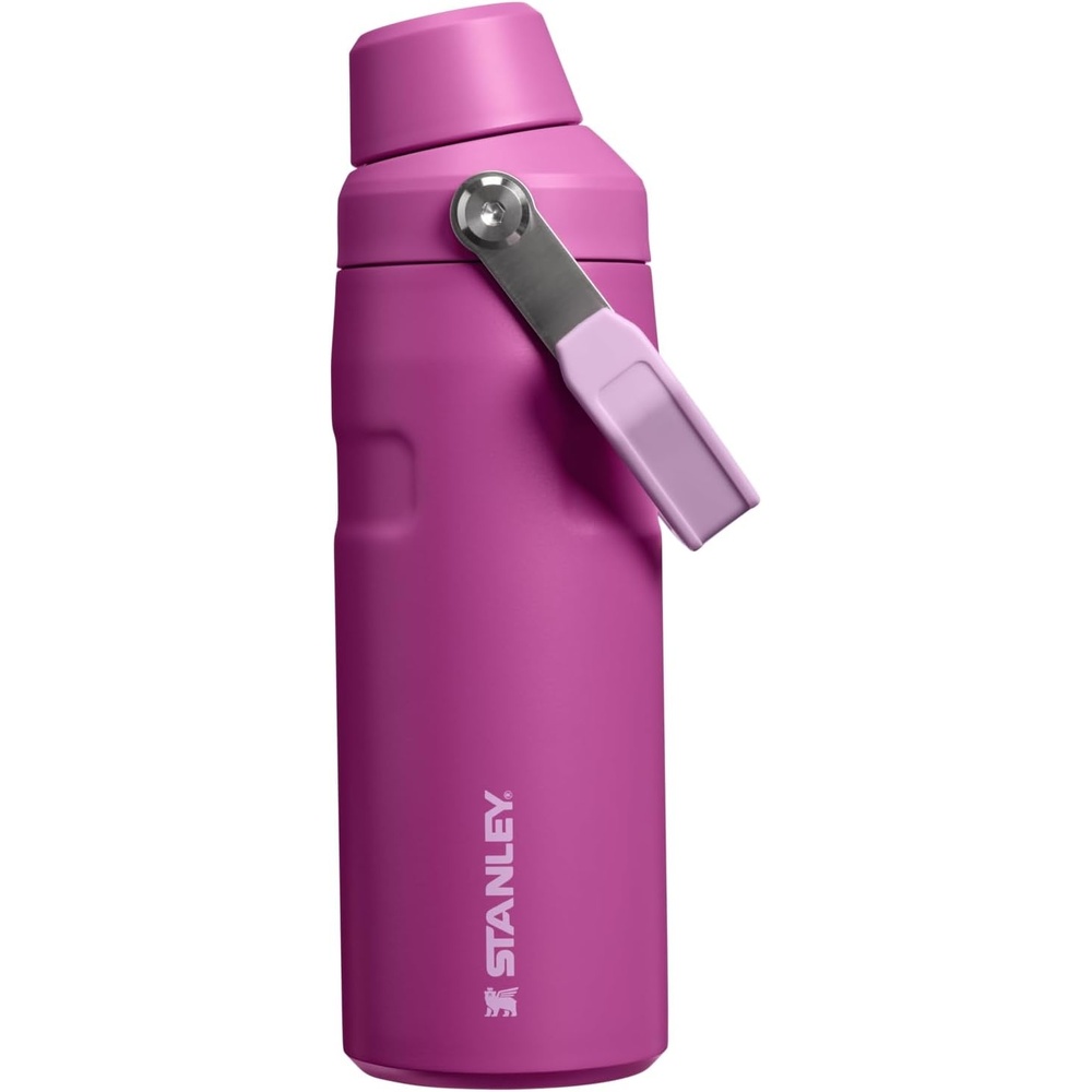 image:imageStanley IceFlow Fast Flow Water Bottle 24 oz  Angled Spout Lid  Lightweight and Leakproof for Travel and Sports  Insulated Stainless Steel  BPAFree  TigerlilyDark Blossom