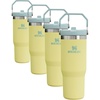 30 Ounces (Pack of 4)
