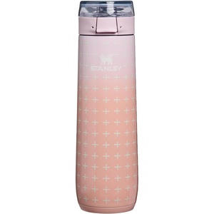 STANLEY Flowstate Spring Bottle | Leakproof Water Bottle with Carry Strap & Flip-Top Locking Lid | Insulated Stainless Steel | Fits Most Cup Holders | BPA-Free | 20 oz | Ash(Sorbet Plus)