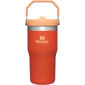 STANLEY IceFlow 2.0 Flip Straw Tumbler, 20 oz, Pomelo | Easy Carry Handle | Twist On Lid and Flip Up Straw | Leak Resistant Water Bottle | Insulated Stainless Steel | BPA-Free(Tigerlily)