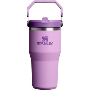 STANLEY IceFlow 2.0 Flip Straw Tumbler, 20 oz, Pomelo | Easy Carry Handle | Twist On Lid and Flip Up Straw | Leak Resistant Water Bottle | Insulated Stainless Steel | BPA-Free(Lilac 2.0)
