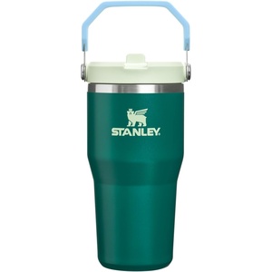 STANLEY IceFlow 2.0 Flip Straw Tumbler, 20 oz, Pomelo | Easy Carry Handle | Twist On Lid and Flip Up Straw | Leak Resistant Water Bottle | Insulated Stainless Steel | BPA-Free(Emerald Honeydew)