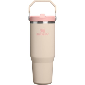 STANLEY IceFlow 2.0 Flip Straw Tumbler, 20 oz, Pomelo | Easy Carry Handle | Twist On Lid and Flip Up Straw | Leak Resistant Water Bottle | Insulated Stainless Steel | BPA-Free(Champagne)