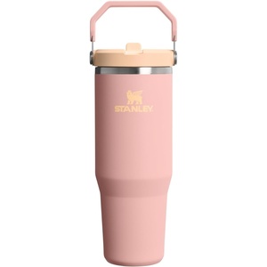 STANLEY IceFlow 2.0 Flip Straw Tumbler, 20 oz, Pomelo | Easy Carry Handle | Twist On Lid and Flip Up Straw | Leak Resistant Water Bottle | Insulated Stainless Steel | BPA-Free(Peach Rose)
