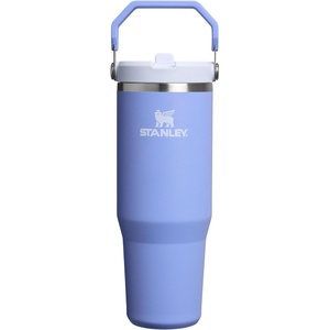STANLEY IceFlow 2.0 Flip Straw Tumbler, 20 oz, Pomelo | Easy Carry Handle | Twist On Lid and Flip Up Straw | Leak Resistant Water Bottle | Insulated Stainless Steel | BPA-Free(Hydrangea)