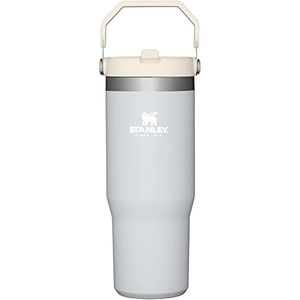 STANLEY IceFlow 2.0 Flip Straw Tumbler, 20 oz, Pomelo | Easy Carry Handle | Twist On Lid and Flip Up Straw | Leak Resistant Water Bottle | Insulated Stainless Steel | BPA-Free(Cloud)