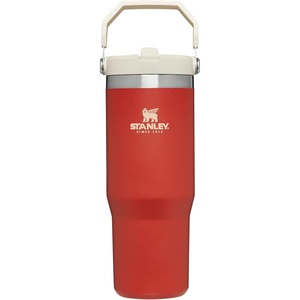 STANLEY IceFlow 2.0 Flip Straw Tumbler, 20 oz, Pomelo | Easy Carry Handle | Twist On Lid and Flip Up Straw | Leak Resistant Water Bottle | Insulated Stainless Steel | BPA-Free(Carnelian)