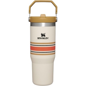 STANLEY IceFlow 2.0 Flip Straw Tumbler, 20 oz, Pomelo | Easy Carry Handle | Twist On Lid and Flip Up Straw | Leak Resistant Water Bottle | Insulated Stainless Steel | BPA-Free(Cream Mesh)