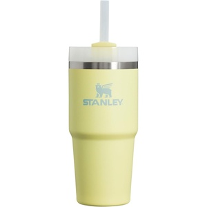 STANLEY Quencher H2.0 Flow State Tumbler, 20 oz, Lilac | Straw and 3-Position Lid | Cup Holder Compatible for Travel | Insulated Stainless Steel Cup | BPA-Free(Pomelo)
