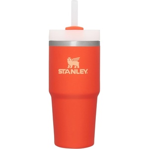 STANLEY Quencher H2.0 Flow State Tumbler, 20 oz, Lilac | Straw and 3-Position Lid | Cup Holder Compatible for Travel | Insulated Stainless Steel Cup | BPA-Free(Tigerlily)