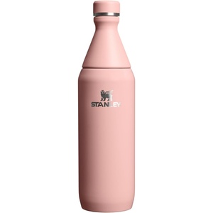 Stanley All Day Slim Bottle 20 oz | Twist On Lid with Leakproof Seal | Slim Design for Travel & Gym | Insulated Stainless Steel | BPA-Free | Daffodil Gloss(Peach Rose Gloss)
