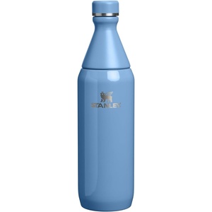 Stanley All Day Slim Bottle 20 oz | Twist On Lid with Leakproof Seal | Slim Design for Travel & Gym | Insulated Stainless Steel | BPA-Free | Daffodil Gloss(Blue Sky Gloss)