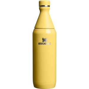 Stanley All Day Slim Bottle 20 oz | Twist On Lid with Leakproof Seal | Slim Design for Travel & Gym | Insulated Stainless Steel | BPA-Free | Daffodil Gloss(Daffodil Gloss)