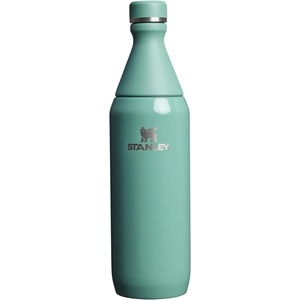 Stanley All Day Slim Bottle 20 oz | Twist On Lid with Leakproof Seal | Slim Design for Travel & Gym | Insulated Stainless Steel | BPA-Free | Daffodil Gloss(Spring Green Gloss)